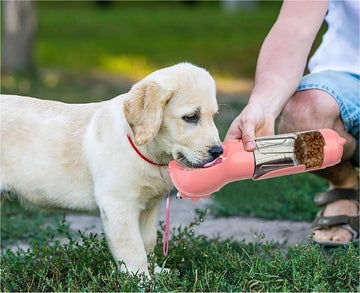 Portable 3-in-1 Pet Water Bottle for Dogs Feeder & Bag Holder